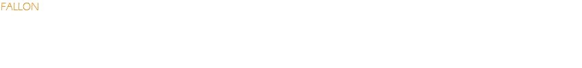 FALLON COMMUNICATION &DESIGN (FC&D) provides Marketing Communications and Design Consulting Services. We help position your company against larger competition by creating new branding or leveraging your existing branding. In addition, we create perceptions through the use of cutting edge interactive multimedia, collateral, web and social media. All communication is designed to move people. We differentiate your company from competitors in a compelling way. 